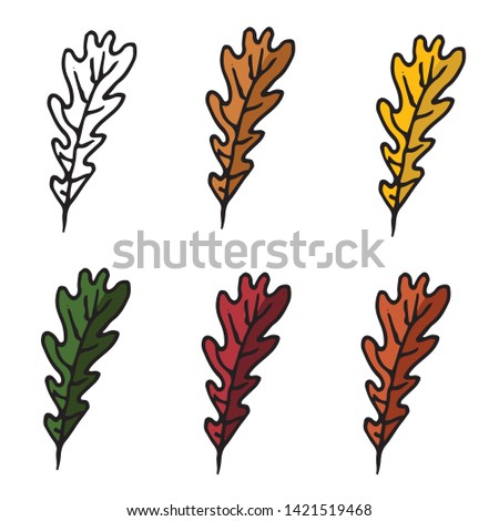 vector set of autumn leaves isolated on white background
