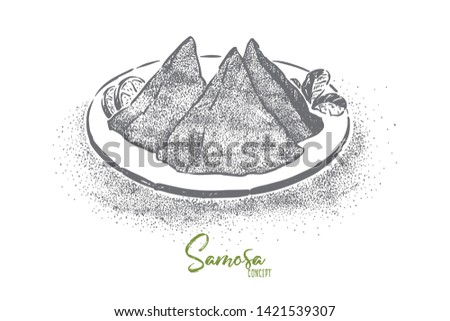 Traditional indian food, triangular roasted dough with filling, tasty oriental fast food, eastern cuisine. Delicious samosa with vegetables, asian dish concept sketch. Hand drawn vector illustration