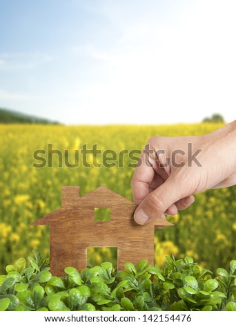 Wooden model house in green field
