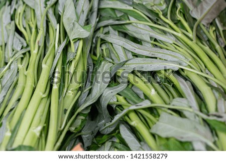 fresh morning glory with green leaves and stems were tropical vegetables with minerals nutritions from nature.It could use ingredient of various food such as diet, healthy and herb that sell in market