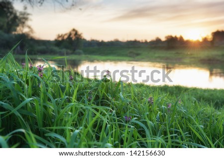 Sunset over river in a Russia. Photo with small depth of field, and focus on a grass