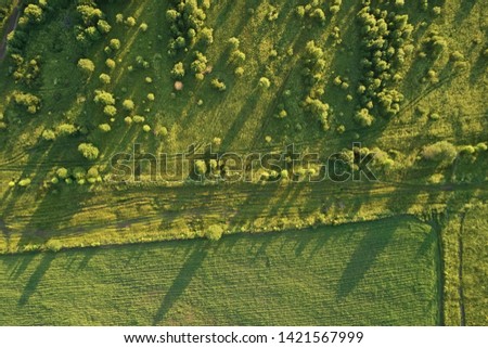 Top view of the green fields and meadows and green trees in summer. Abstract landscape, photography from a drone