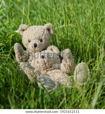 Teddy couple lies in the grass