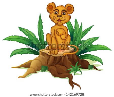 Illustration of a trunk with a young lion on a white background