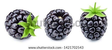 Blackberry isolated on white background close up. Blackberry collection Clipping Path. Professional studio macro shooting Royalty-Free Stock Photo #1421702543
