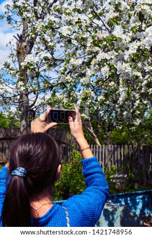 Girl taking pictures of Apple blossoms on a spring day. Spring.