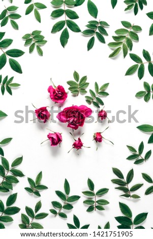 Summer minimal concept. Pattern made of red rose flowers and green little leaves on white background. Many little leaves for decorating any post card or celebration card. Flat lay, top view