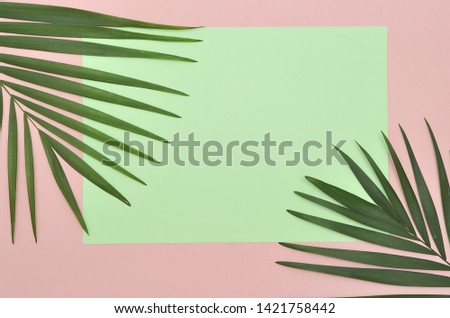 Paper with copyspace on palm tree leaf background.
