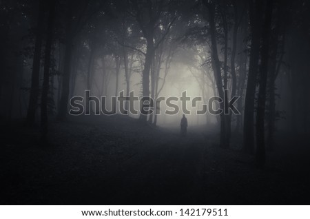 strange silhouette in a dark spooky forest at night