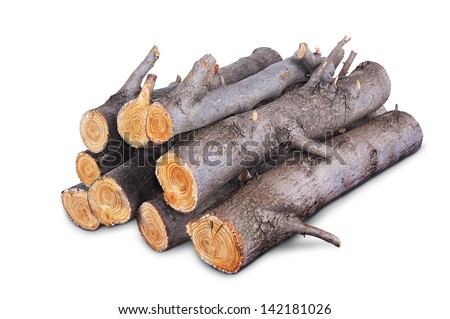 stack of firewood logs isolated on white background
