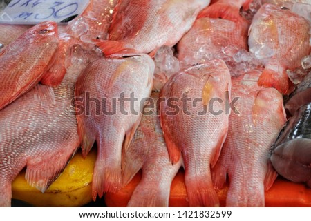 A picture of red snapper or red fish in the market. Sarawak seafood is cheaper compared to Peninsular of Malaysia.