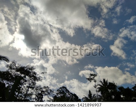 palm tree silhouette with a background of blue sky and white clouds in summer