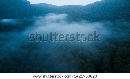 Aerial View of Clouds and Mist Over Forest and Hills