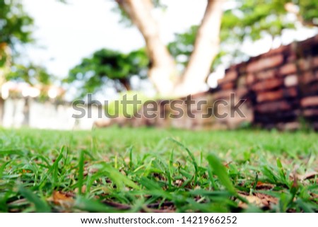 picture of park outdoor abstract blurred green filed with light bokeh background nice beautiful decorative terrace gazebo - image
