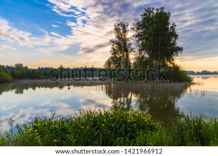 Pond near Trebon, South Bohemia, Czecg Republic