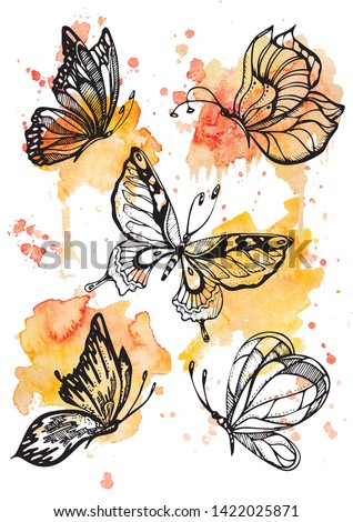 Black and white butterflies on watercolor splashes for design and decoration. Vector illustration with 5 doddle butterflies on bright watercolor background for coloring book, clipart, logo