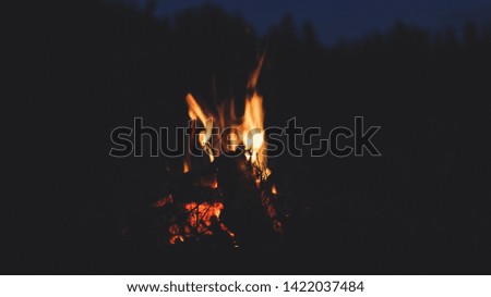 Picnic in the mountains. Travels and fires. Atmosphere of comfort. Tourism in the Carpathian Mountains