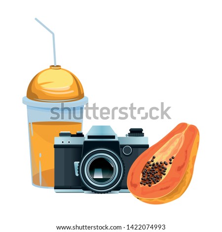 summer beach and vacation with photographic camera, tropical fruit and smoothie drink icon cartoon vector illustration graphic design