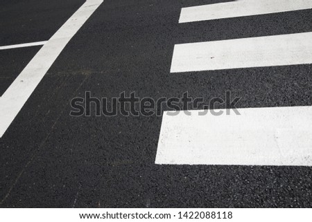 Zebra crossing without anyone crossing it.