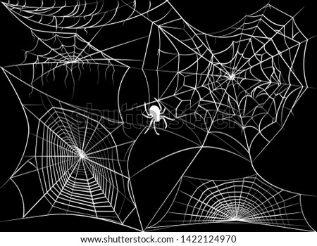 Cobweb isolated on black. Spiders web vector illustration. Halloween concept