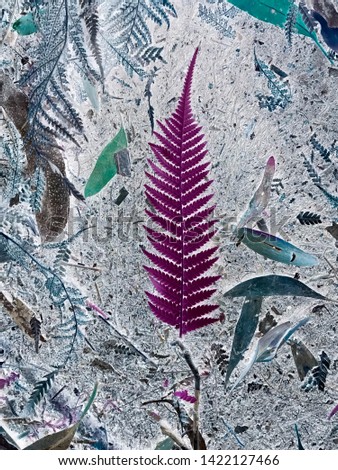 Baby fern leaf surrounded by leaf dirt, looks like handmade paper. Taken Lorne Australia