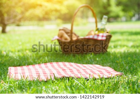 Wicker picnic basket with food and red checkered tablecloth on the grass in a park. Summer picnic background concept.