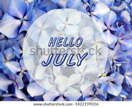 Hello July welcoming card with hand written lettering on natural blue Hydrangea or Hortensia flowers background.