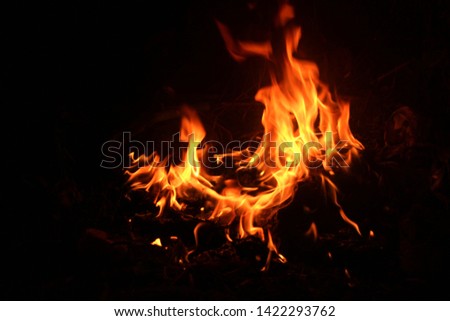 The fire in the fire burning naturally waved at night.