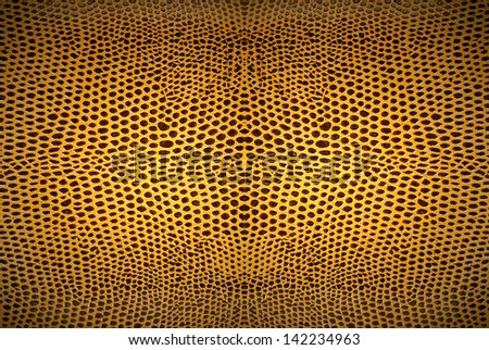 brown color of dot leather