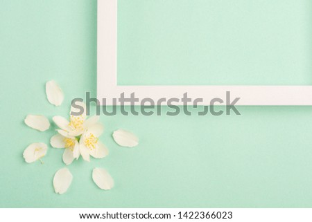 Flowers composition. Beautiful white flowers and blank frame on pastel mint background. Top view, copy space.