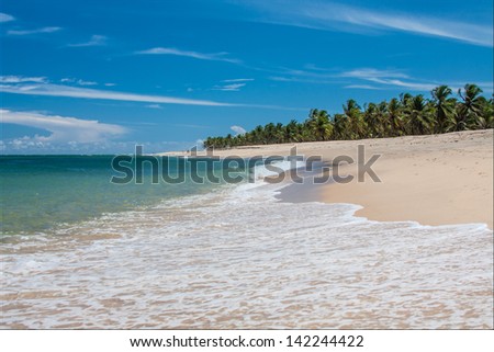 Gunga Beach - Alagoas - MaceiÃ?Â³ - Brazil 8 Royalty-Free Stock Photo #142244422