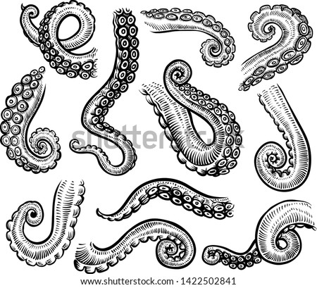 OCTOPUS-TENTACLES Stock Vector Images - Avopix.com