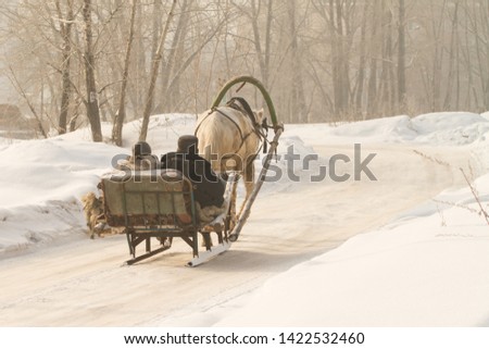 a villager in a village goes in a makeshift sleigh and runs a horse, a clear winter day