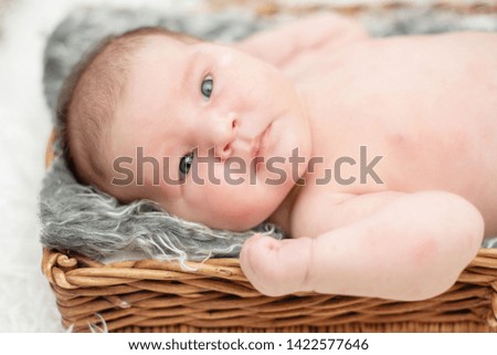 newborn baby girl in the basket