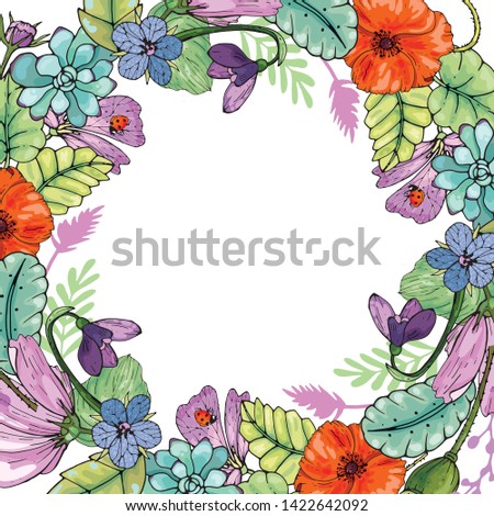 floral background of poppies, succulent and green leaves