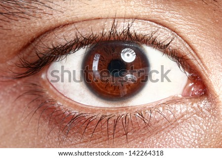 Close up picture of brown eyes from a young man Royalty-Free Stock Photo #142264318