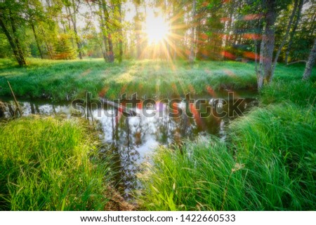 warm summer day in the forest with a river running through the picture and a strong sun in the background