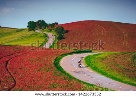 Young couple at motorbike ride through beautiful summer landscape, flowers at fields are blooming in red
