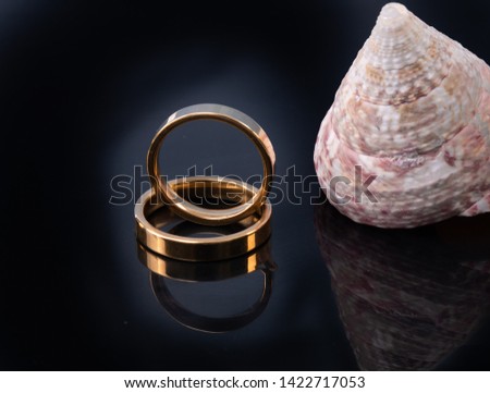 Brilliant gold wedding rings on a dark surface accompanied by a sea shell. Wedding rings and template for text. Close-up