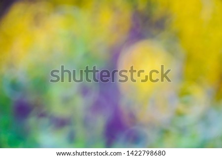 leaf blur abstract background beautiful.
