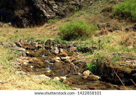 Mountain stream flowing through the valley and rocky shores. Altai, Siberia, Russia.