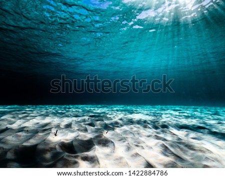 Underwater Ocean Photography, shot in Esperance, Western Australia. Amazing clarity and colour. Royalty-Free Stock Photo #1422884786