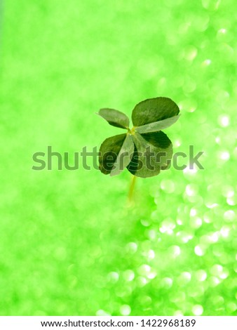Fresh green lucky four leaf clover on green sparkling background. Design for your ad, poster, banner. Beautiful st patrick's day concept