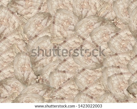 Wooden Pattern Natural Background For Wall