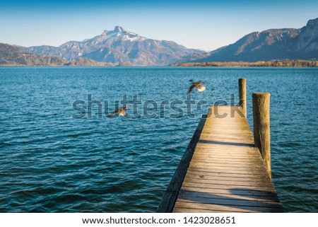 Jetty at the mountain lake with flying ducks in the background