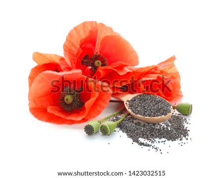 Beautiful red poppy flowers and spoon with seeds on white background