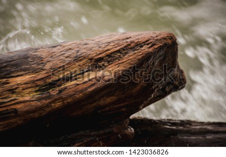 logs by the sea in stormy weather