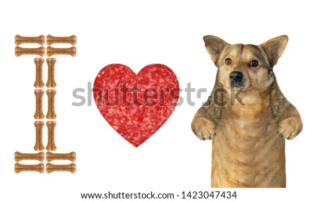 The dog is standing near a heart shaped sausage and the letter 'I' is made from bones. White background. Isolated.