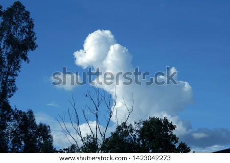 A dog shape on the sky by cloudy is so cute from Thailand.