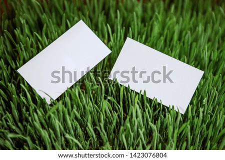 two white business card free for writing on a background of green grass